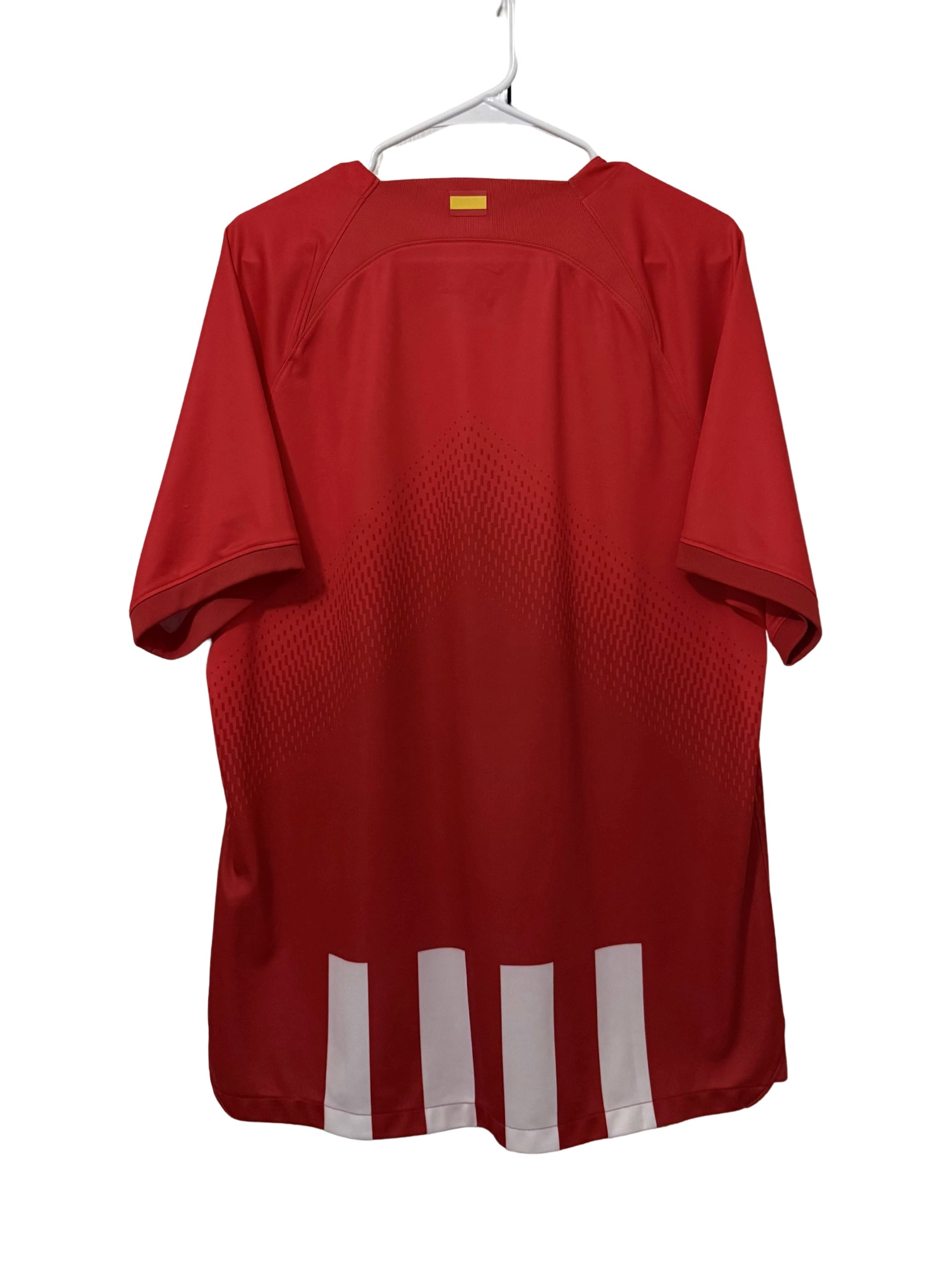 Atletico De Madrid 2023-24 Home jersey (XL)