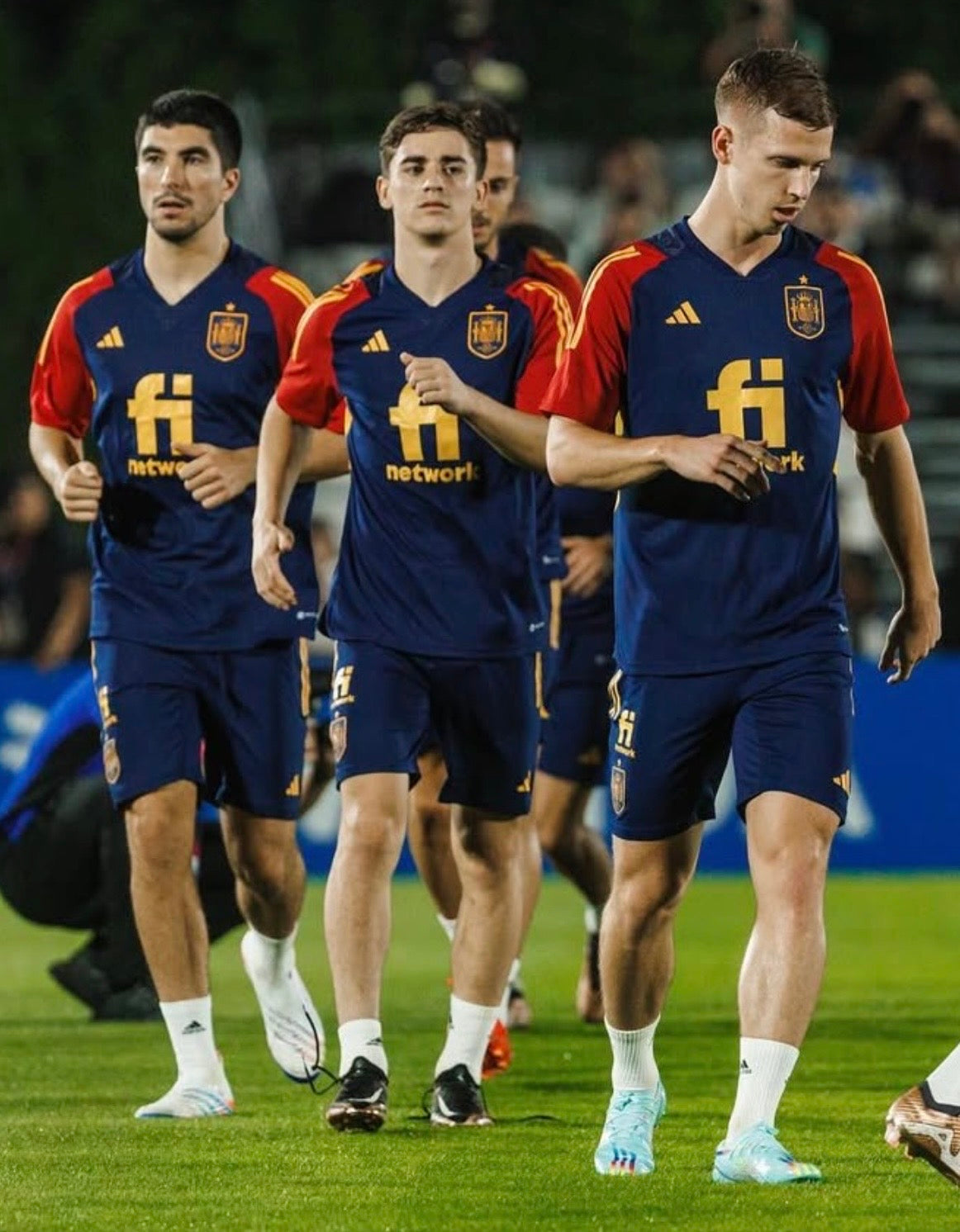 Spain 2022 Training jersey (L)